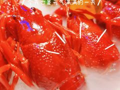 -沪小胖小龙虾(淮海中路旗舰店)