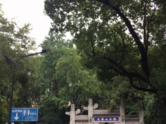 -九华山公园