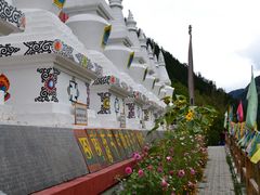 -九寨沟-树正沟