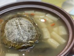 -丁老爷子苏香圆