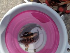 -青岛第三海水浴场