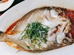 清蒸海鲈鱼-沪华海鲜大酒楼(南汇店)