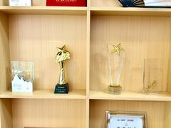 -天猫养车贴膜轻改·蓝电(优匹康桥东路店)