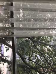 -菲林婚纱摄影工作室