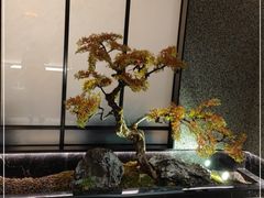 -壹只菜·崇明本地特色菜(崇明南门店)