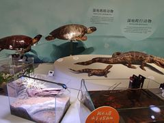 -中国湿地博物馆