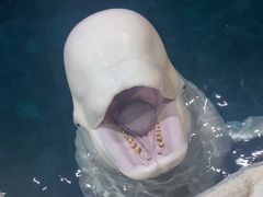 -杭州长乔极地海洋公园