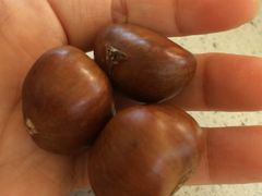 -邢记板栗(铜陵二店)