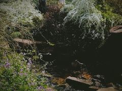 -中国茶叶博物馆(双峰馆区)