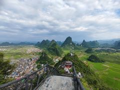 -会仙湿地