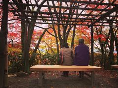 -常寂光寺