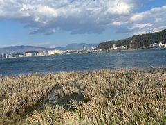 -洱海月湿地公园