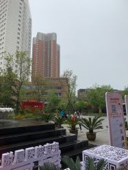 -河南中医药大学第一附属医院-医疗整形