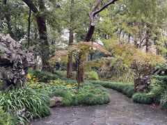 -申粤轩酒楼·三十年粤菜经典(丁香花园店)