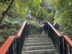 -天鹿湖森林公园
