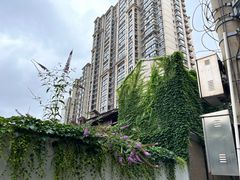 -长寿面(北京西路店)