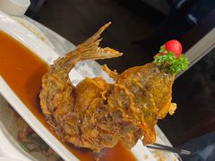 糖醋鲤鱼-城南往事·鲁菜济南菜(软件园美莲广场店)