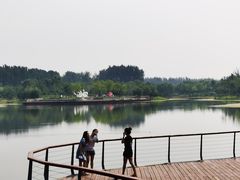 -东郊湿地公园
