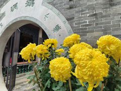 -碧江金楼