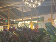 -原味四季椰子鸡(公明百佳华店)