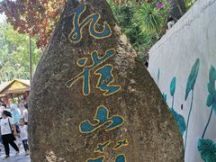 -西双版纳原始森林公园