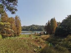 点击看大图 -佛灵湖水上乐园