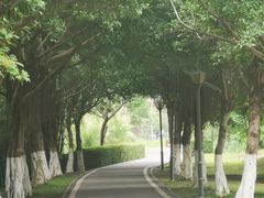 -广东花都湖国家湿地公园