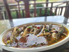 -呼吸森林·生态农庄农家乐私房菜