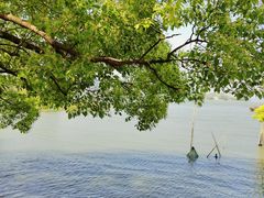 -东钱湖旅游度假区