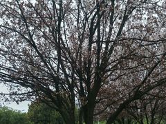 -公益图书馆(江南大学店)