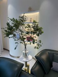-王妃SPA·美容·科技抗衰