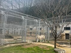 -黔灵山公园