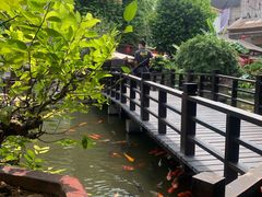 大堂-猪肉婆私房菜(容桂总店)