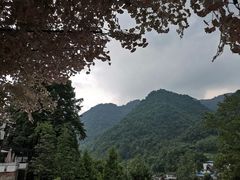 -四川省成都市彭州市白鹿镇