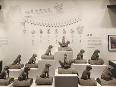 -四川大学博物馆