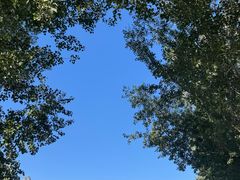 -长白岛森林公园