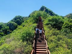 -大岭沟猕猴桃谷风景区