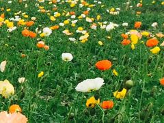 -白鹭湾湿地公园