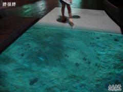 -上海长江河口科技馆