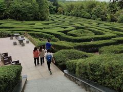 -大屏嶂森林公园