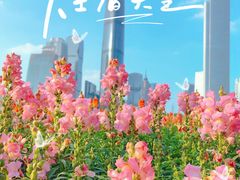 -海心沙亚运公园