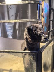 -酷嗒动物文化乐园(cutezoo西溪乐天城店)