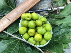 -酒城大贰火锅旗舰店