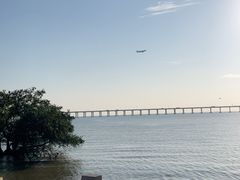 -宝安西湾红树林湿地公园