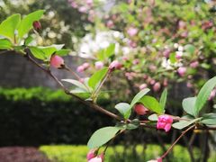 -WEPARK 芳草寓