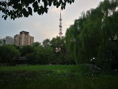 -莲湖公园