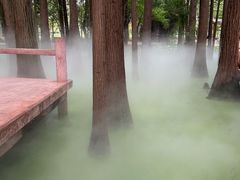-东湖落雁景区