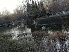 -长白岛森林公园