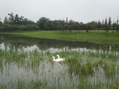 -两河城市森林公园