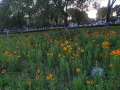 -九里河湿地公园